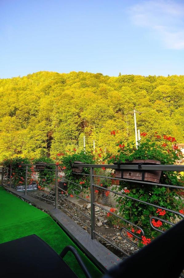 New Green Slănic-Moldova Zewnętrze zdjęcie